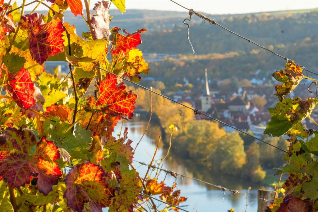 Mainfranken ist Weinfranken